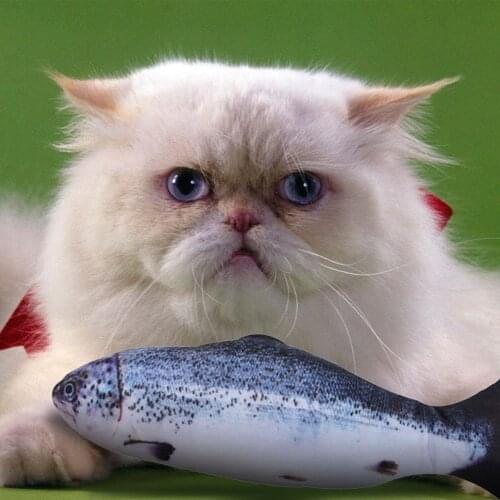 Pet Electric Toys 3D Simulation Fish Dancing Moving Tail Rechargeable Funny USB Charging Vibration Fish Chewing Cat Toys