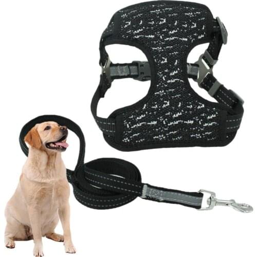 Nylon Mesh Puppy Cat Harnesses Vest Reflective Dog Harness and Leash Set for Chihuahua Pug Small Medium Walking Lead Leash