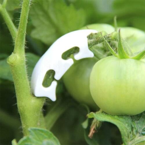 50pcs plant clips anti-bending tomatoes Plastic Branch Fixing clips garden fruit Vine Connects Supporting Plant Grow Upright