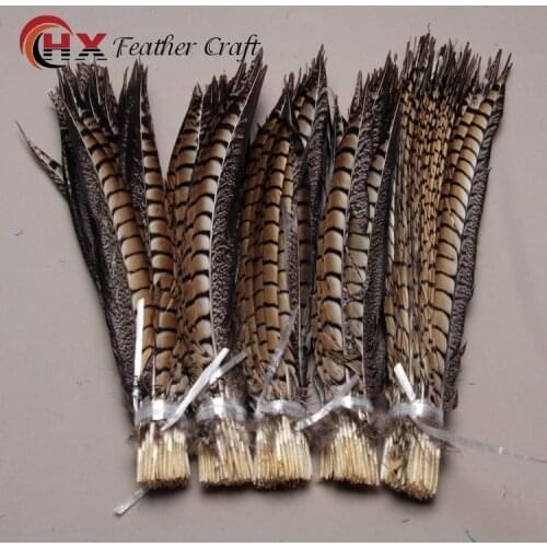 10Pcs/Lot Female Pheasant Tail Feathers 25-75CM/10-30inches Natural Pheasant Feathers For Crafts DIY Wedding Decorations Plumes
