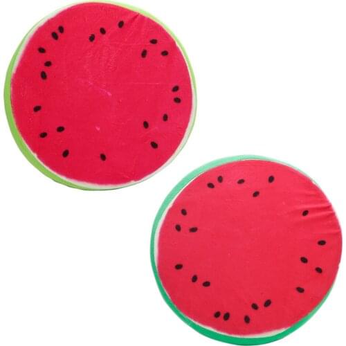 3D Fruit Office Chair Back Cushion Sofa Throw Pillow Cushion Pet 896B