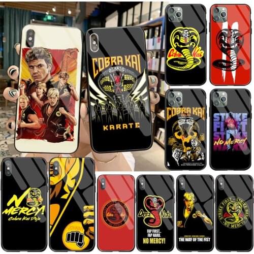 Cobra Kai Season 3 No Mercy Phone Case Tempered Glass For iPhone 12 pro max mini 11 Pro XR XS MAX 8 X 7 6S 6 Plus SE 2020 case