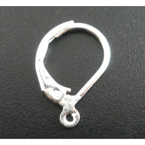 Free shipping!!!!Silver Plated Lever Back Earring Wires 16x10mm