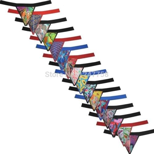 Men Cheeky Thong Bikini Underwear Men Sexy Thongs Nylon Underwear Tanga Hombre G-Strings