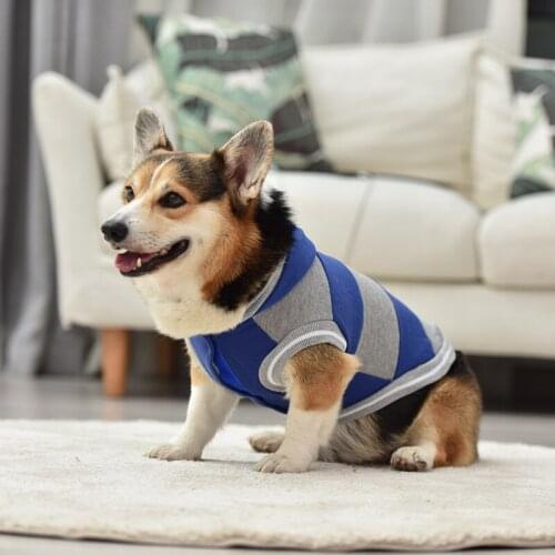 Fashion Pet Dog Clothes Cute Hoodies for Autumn and Winter Soft Thick Warm Stripe for Small Dog Clothes