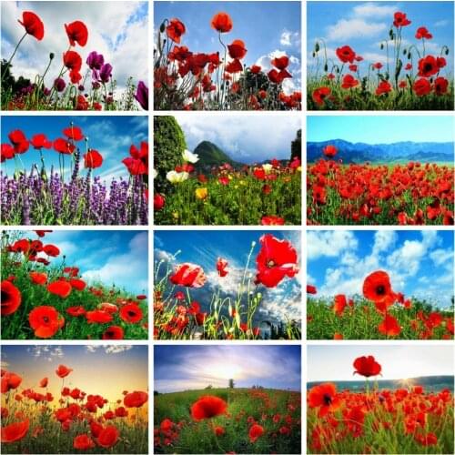AZQSD Picture Oil Painting By Numbers Poppy Painting By Numbers Flower Scenery Handpainted Handicrafts Diy Framed Home Decor