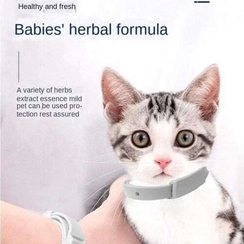 Adjustable Cat & Dog Collar 3Month Flea & Tick Prevention Collar Anti Flea Ticks Pest Control Protect Repel Rubber Necklace Pet