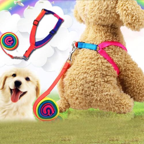 New Arrivals Pet Products Rainbow Dog Leash Dog Chain Dog Stuff Dog Belt correas para perro correa perro Cat Leash