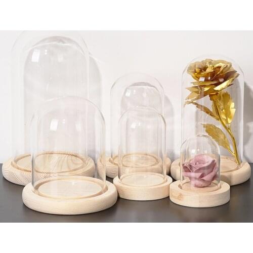 WEEDDIE Glass Flower Vases