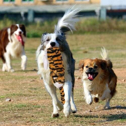 New Cute Plush Toys Squeak Pet Animal Plush Toy Dog Chew Squeaky Whistling Involved Dog Toys