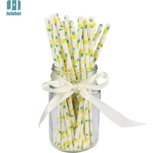 25xFruit Paper Straws Drink Straws Party Cakepop Sticks Craft Pineapple