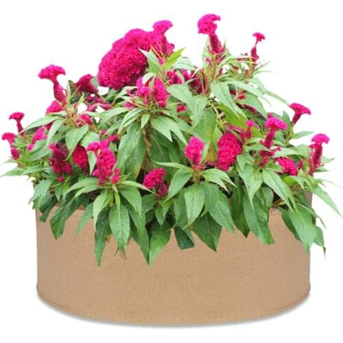 Fabric Pots Repeatedly Used Eco-friendly High Quality With Handle Durable 50 Gallons Use For Plant Growth Portable Grow Bags