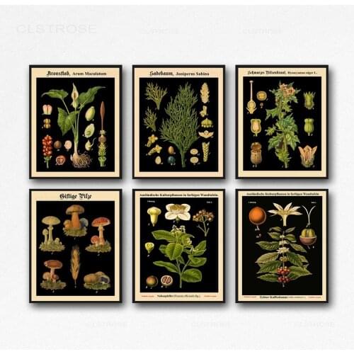 Vintage Vegetable Mushroom Posters Canvas Print Antique Wall Art Print Botanical Picture Science Poster Kitchen Decor No Frame