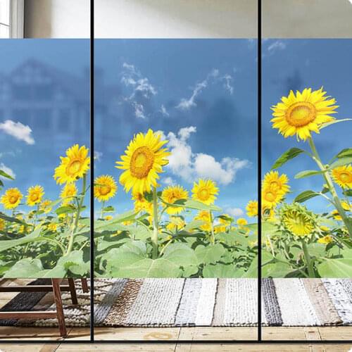 Window electrostatic frosted glass sticker decoration bathroom sliding door window childrens room glass film