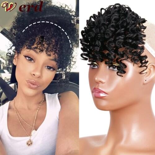 WERD 2021 Popular Curly Fake Bangs Hairpin Natural Synthetic Fiber Hair Extension Piece Bangs Hair Extension Black Brown Hair