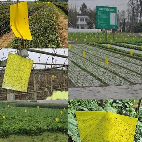25x15cm Strong powerful sticky board greenhouse is orchard courtyard for Yellow paper and mucus pest control garden tools