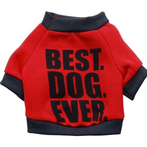 Autumn Pet Dog Clothes for Small Dogs Clothing Chihuahua Warm Sweater for Yorkies Cotton Tshirt Pug Apparel Dog Accessories