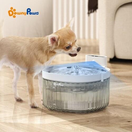 DownyPaws Bowls For Dogs