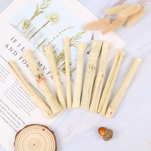 100g Pig Snacks Cleaning Teeth Treat Molar Chew Toy Sweet Bamboo Stick Branch Hamsters Chinchillas Rabbit Parrot Rat Guinea