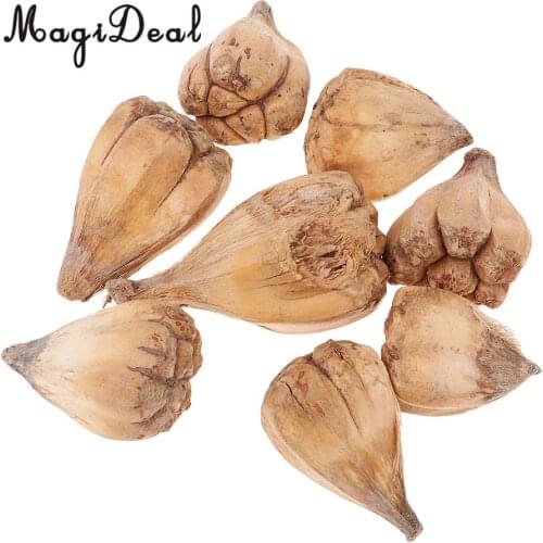 8 Pieces Natural Dried Flower Fruit Buddhas Hand Ornament for DIY Garland Florists Craft Home Party Garden Decoration