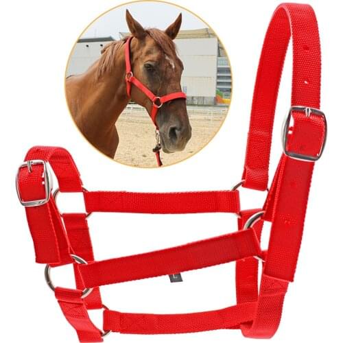 Soft Horse Riding Equipment Horse Riding Belt Bridle Adjustable Halter Headstall Horsing Accessory Riding Competitions Tools