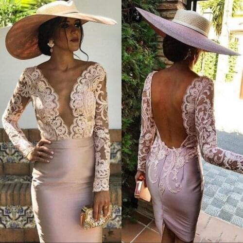 Blush Mother of The Bride Dresses For Wedding V Neck Long Sleeve Women Dress Plus Size Cocktail Gowns