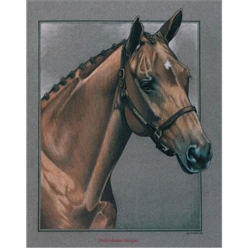 Embroidery Counted Cross Stitch Kits Needlework - Crafts 14 ct DMC Color DIY Arts Handmade Decor - Top Cat Portrait