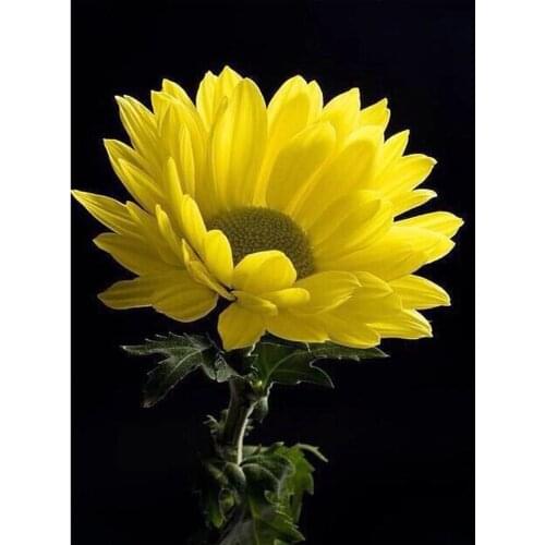 5D DIY Diamond Painting Full Square Round 3D Embroidery Chrysanthemum Pictures of Rhinestones Cross Stitch Kit Room Decor DF635