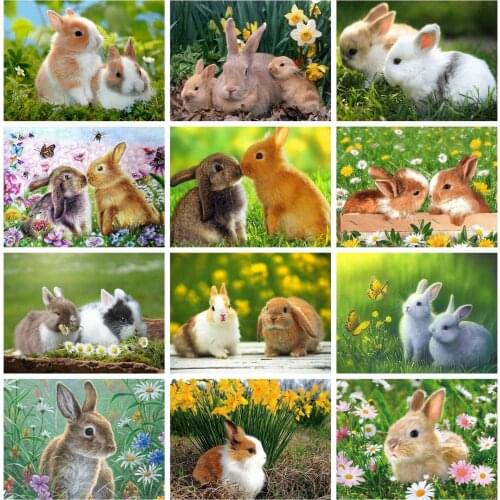 5D Diamond Painting Rabbit Animals Cross-Stitch Embroidery Sets Mosaic Full Square Flower Picture For Interior