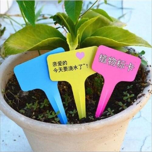10pcs Plant Grown Tags Flower Pot Sign Card to Remind Watering Feeding T-type Tags Garden Nursery Labels Markers
