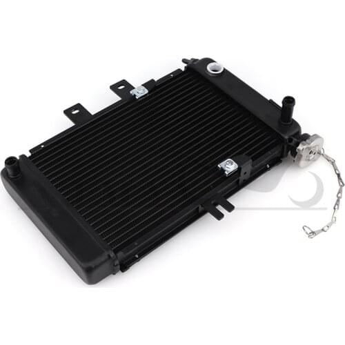 ATV radiator cooling water cooling water tank for 200CC 250CC ATV Quad Zongshen 305-322
