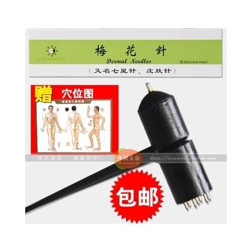 Double plum blossom needle Skin needle Detoxification beauty with Points chart free shipping