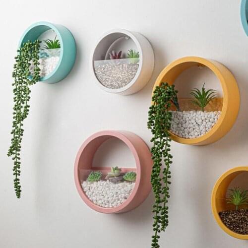 Succulent Round Wall Vase Modern Transparent DIY Planter Hanging Basket Bonsai Flower Pot Home Living Room Restaurant Decoration