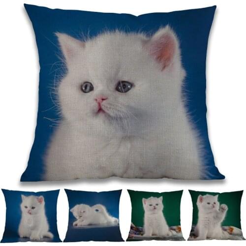 Cute White Persian Cat Fancia Small Kitty Throw Pillow Case Home Kids Room Car Pet Store Sofa Decorative Cushion Cover