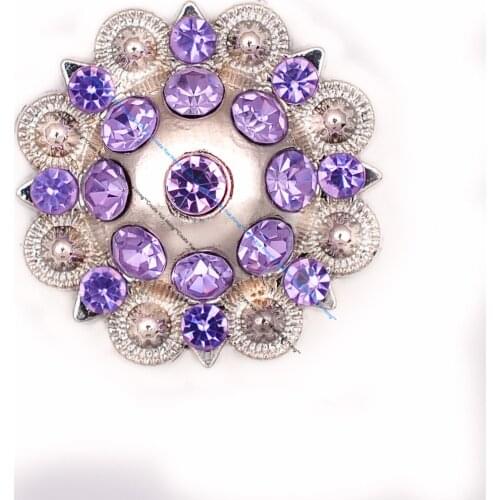 10 SET Berry Burst Cowboy Cowgirl Bling Hatband LeatherCrafts Violet Rhinestone Saddle Headstall Bridle Concho 19mm