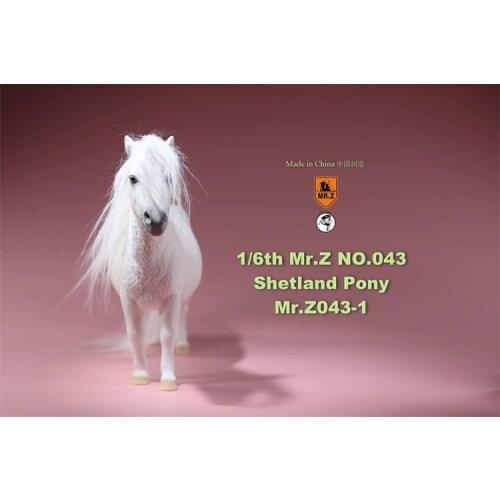In Stock Collectible MR. Z Animal Model MRZ043 1/6 Shetland Pony Horse Model Accessory all 5 colors for 12 inches Action Figure