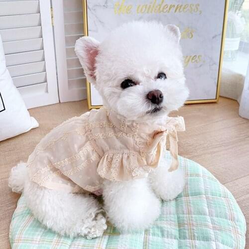 Summer Chiffon Dog Dress Cat Skirt Dog Clothes Chihuahua Yorkshire Pomeranian Clothing Puppy XXS Small Dog Costume Dresses