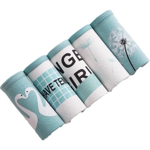 5PCS Underwear Women Plus Size Panties Girls Briefs Sexy Lingeries Cueca Intimates Calcinhas Cotton Shorts Underpants Cute Panty
