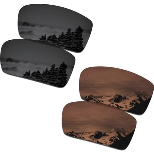 SmartVLT 2 Pairs Polarized Sunglasses Replacement Lenses for Oakley Gascan Stealth Black and Amber Brown