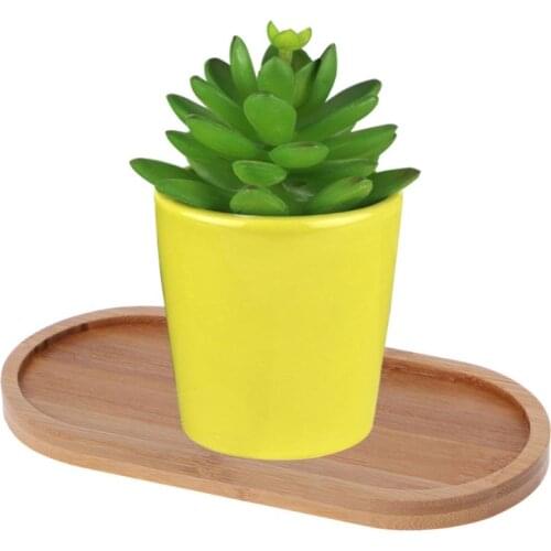Pot Tray Oval Shape Bamboo Wood Saucer Plant Tray Mini Plant Flower Pot Stand Favor Succulent Simple Elegant Design Home Balcon