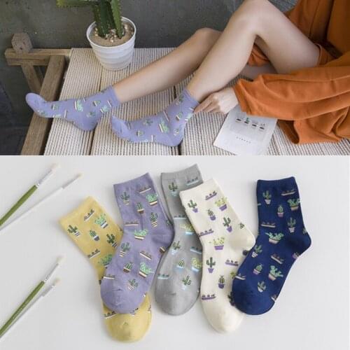 EUR 35-41 Cacti Socks Sale Fashion Daily Plant Ball Cactus Harajuku Lilac Lemon Fleshy Succulents Girlfriend Gift Present Gar