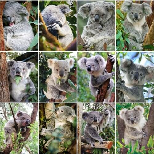 HUACAN Full Square Round Diamond Painting Koala Diamond Embroidery Animal Cross Stitch Pictures Of Rhinestones Handicrafts