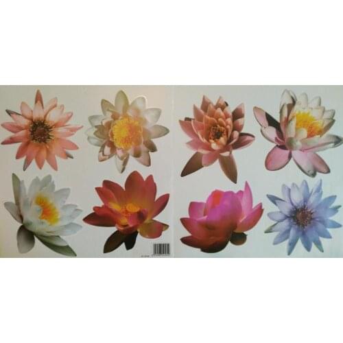 PMT Trade Decorative Wall Stickers