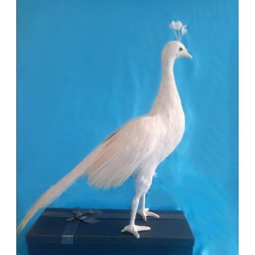 Real life toy bird large 50x40cm white feathers female peacock model handicraft home garden Decoration party props toy h0557