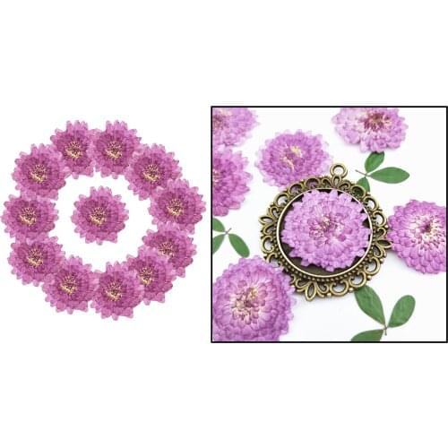 24x Real Pressed Dried Flower for DIY Art Resin Pendant Jewelry Making Tool