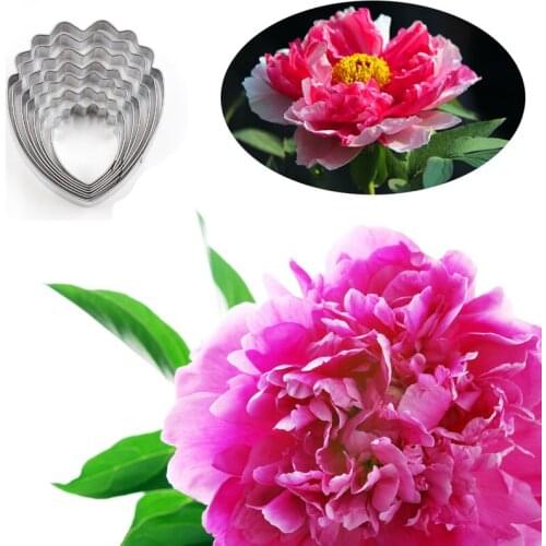 Peony Flower 7Pcs Stainless Stell Cookie Cutter Pastry & Biscuit Baking Cutter Cake Decorating Tools Cupcake Mold Fondant Tools