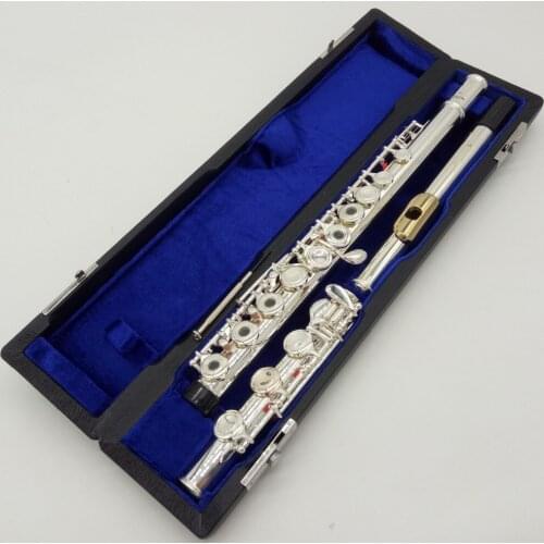 DeXin Flute 200 Series Silver Plated Flute Gold Plated Lip Plate Flutes 211 212 221 222 261 262 271 272 281 282 B Leg Open Close