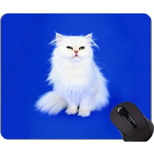 Gaming Mouse Pad Custom,Green Eyes Persian Cat Animal Cat White Home Office Computer Accessories Mousepads