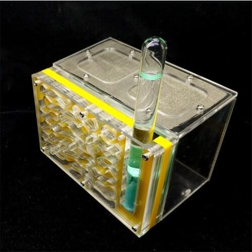 Full Nest Moisturizing Bionic Acrylic Nest Ant Villa Can Raise With High Humidity Requirements