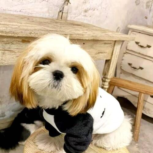 Dog Clothing For Small Dogs Kirky Teddy Battle Cute Warm Hot Style Pet Cartoon Fashion New The Four Seasons Can Wear